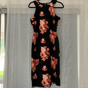 Fitted knee length dress